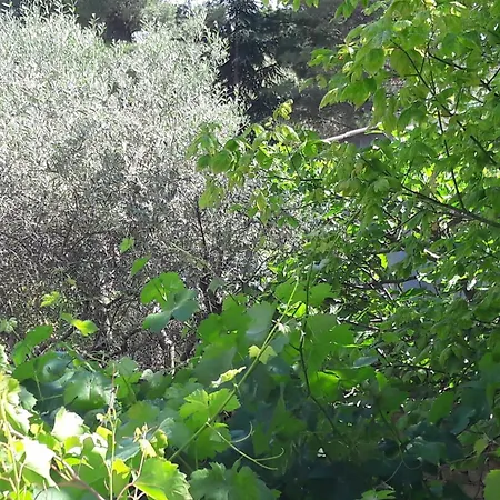 Bastide Sainte Agnes